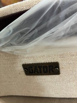 Dobro /epiphone /gibson - 13