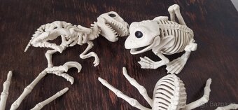 Halloween: Dámský kostým + vybavení - 13