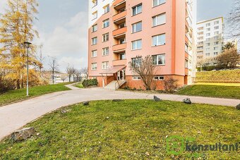 Pronájem bytu 2+1 s lodžií a sklepem, ev.č. 00925 - 13