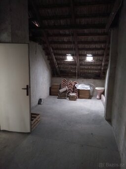 RD Lanžhot, velká zahrada, dvougenerační bydlení - 13