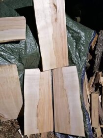 Fošny a hranolky přes 60 druhů exotiky i českých dřevin - 13