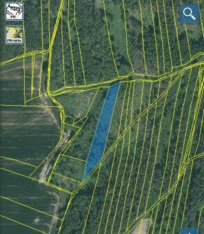 Lesní pozemek Lštění nad Zubřinou - 13