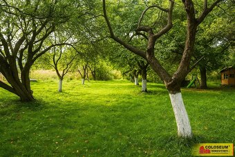 Rudka u Kunštátu, RD 4+kk, garáž, zahrada, pole - rodinný dů - 13