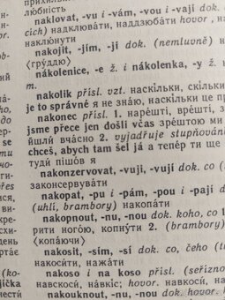 Česko - ukrajinský slovník - 13