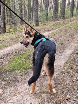 ABBIE K ADOPCI - malá NO úžasňačka, nejde se nezamilovat:) - 13