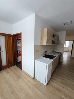 Pronájmu byt v Aši 2+1 - 13