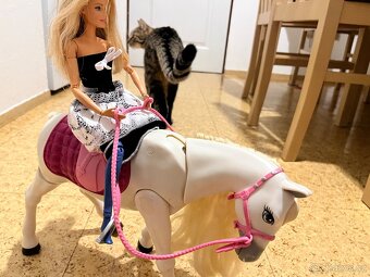Interaktivní kůň Barbie od Mattela - 13