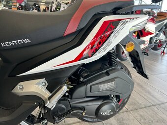 Kentoya Phoenix 125 2025 - 13