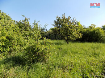 Prodej ovocného sadu, 912 m², Třebenice, ul. Třebenice - 13