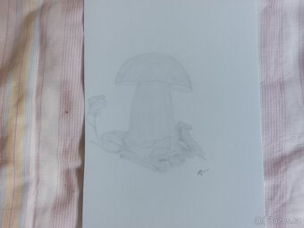 Obrázky obrazy kresby kreslení - 13