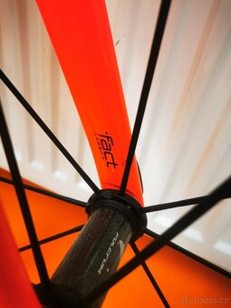 Specialized Smatrwelo D´alusio - 13