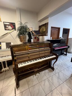 Steinway & Sons mod. Z 114 , opus. 380140, záruka 2 roky - 13