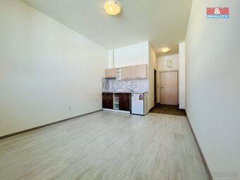 Pronájem bytu 1+kk, 24,5 m², Janovice n. Úhlavou - 13