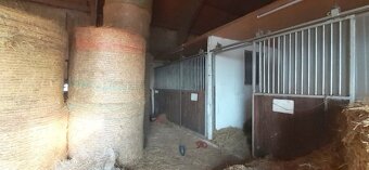 Nabízíme exkluzivně k prodeji jezdecký areál s 26 boxy, rodi - 13