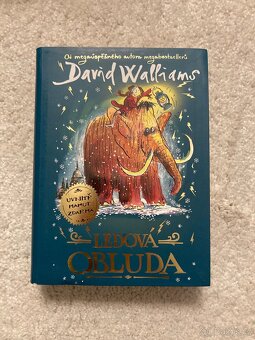 Dětské knížky od David Walliams - 13