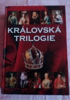 Různé knihy-historické, drama, thrillery, romány, bestselery - 13