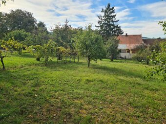 Prodej RD 3+1 a stavební pozemek v obci Louka - 13