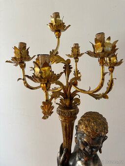 Světlonoš benatský - 13