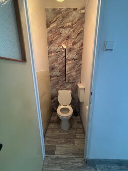 Pronájem bytu 2+1 62m² Hrabinská, Český Těšín - 13