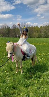 Letošní hřebeček - 13