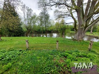 Prodej podílu o velikosti 1/2 - Zemědělská usedlost v Českém - 13