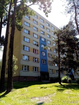Pronájem bytu 1+1 v Karviné, ul.Kašparova - 13