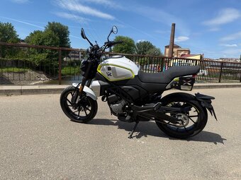 CFMOTO 300CL-X Heritage, 2253km, - 13