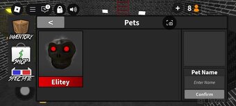Roblox account - 13