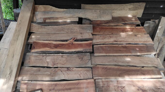 Staré suché listnaté dřevo - 13