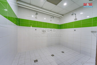 Pronájem obchod a služby, 845 m², Plzeň, ul. Gerská - 13