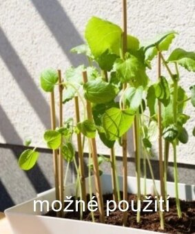 Bambus - bambusové tyčky - 13