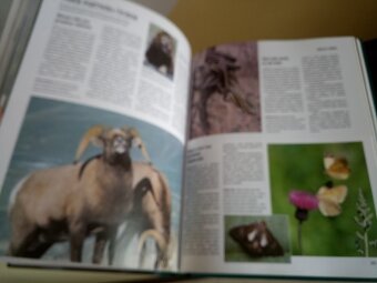 Encyklopedie Reader's Digest Výběr 3 knihy - 13
