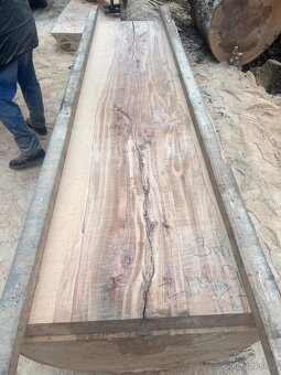 Bukové fošny XXL - 13