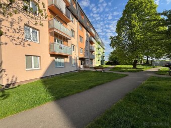 Prodej byt 2+1 OSVL, balkon, sklep - 13