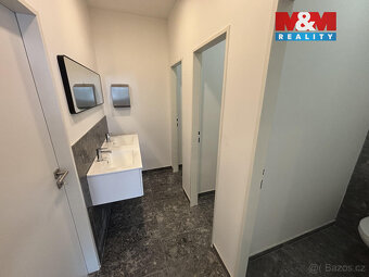 Pronájem prostoru, 240 m², Ostrava, ul. Trocnovská - 13