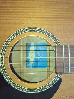 Kytara SEAGULL S6 ORIGINAL QI ELEKTROAKUISTIKA - 13