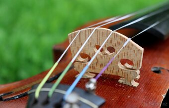 Celé Staré německé housle z 19-ho stoleti Maidstone - 13