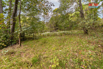 Prodej pozemku k bydlení, 5882 m², Nejdek - 13