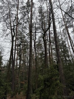 Prodám pozemky v k.ú. Veliny - 13