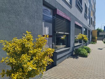 Prodej parkovacího stání Brno Turgeněvova 3 místa - 13