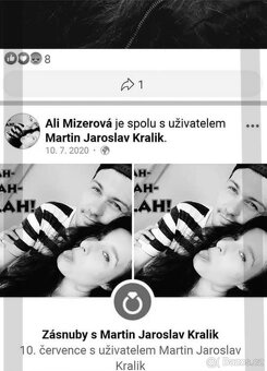 kočka Pardubice - 13