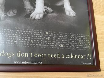 Foto Obrazy Antonín Malý s motivy psů 3 ks - 13