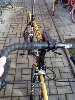 Schwinn Fastback - 13