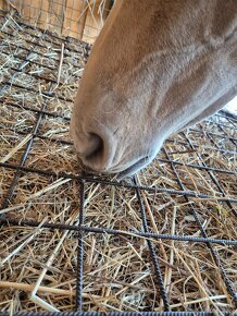 Kovový kryt na příkrmiště/ víko na příkrmiště - 13