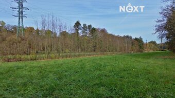 Pronájem pozemek Louky, 11117㎡ - 13