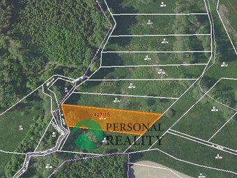 Prodej ostatní pozemky, 18122 m2 - Jankov - Pičín - 13