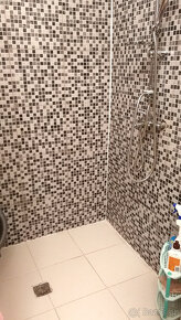Vítkov - RD se zahradou 680 m2 - 13