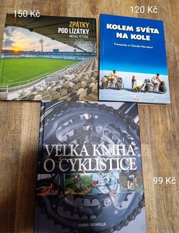 Úklid knihovny - 13