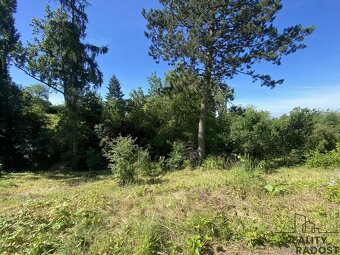 Prodej rekreační chaty s pěkným pozemkem, Olomouc, Droždín. - 13