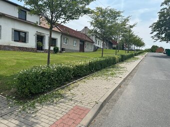 Údržba zeleně Hubáček - 13